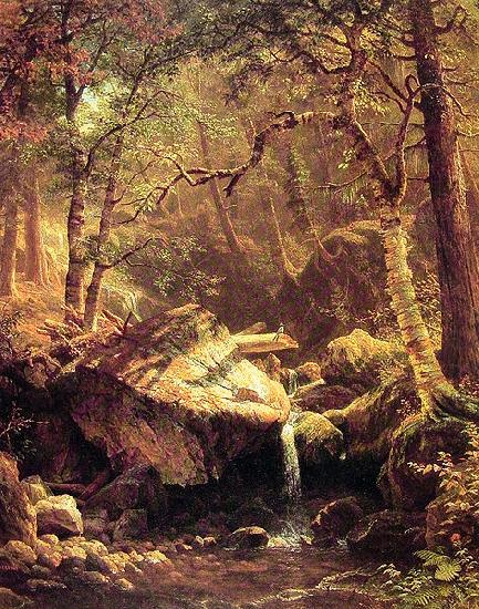 Albert Bierstadt The Mountain Brook China oil painting art